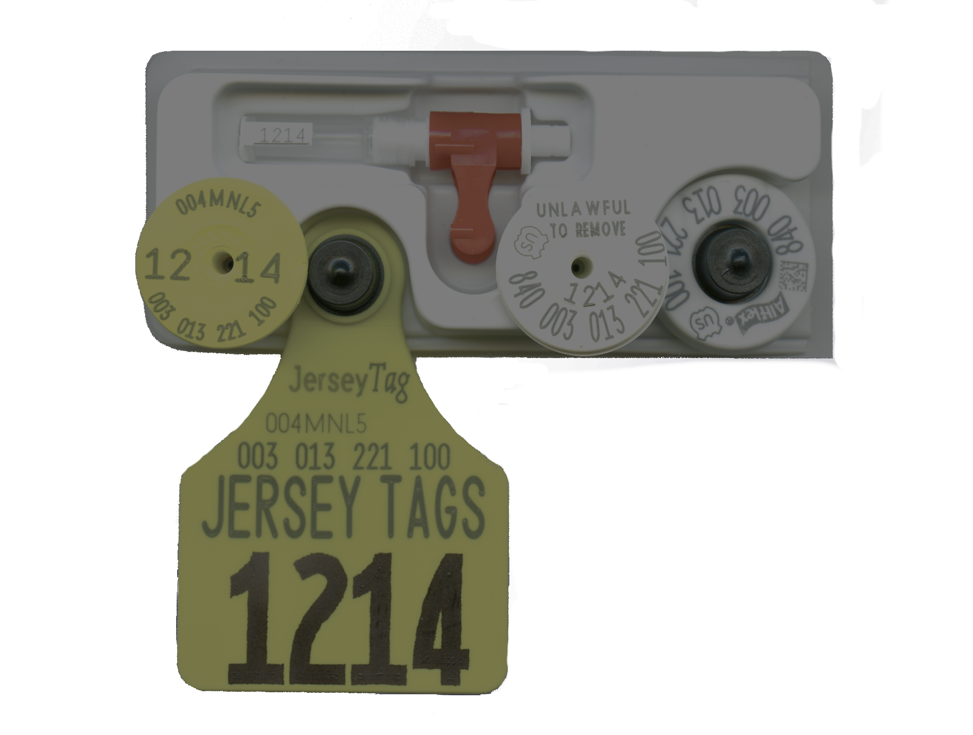 Home - Jersey Tags